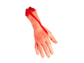 Amputated bloody hand