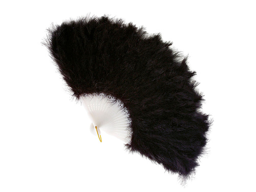 Black feather fan