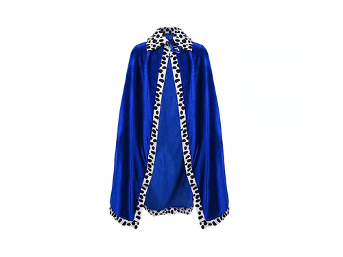 King kids costume