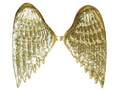 Gold Angel Wings - 40 x 35 cm
