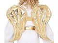 Gold Angel Wings - 50 x 40 cm