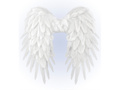 Angel wings white - 65 x 65 cm