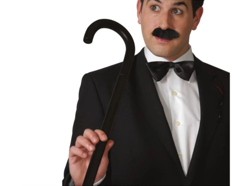 Dandy Walking Stick