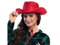Hat Rodeo red