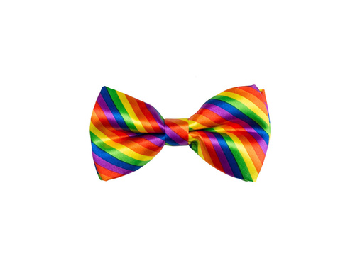 Multicolor bow-tie - 1 pc