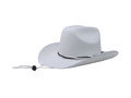White cowboy hat