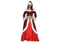 Ladies Costume Santa