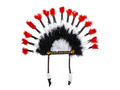 Indian Feather Headdress