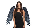 Angel wings grey 65 x 65