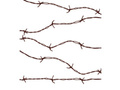 Barbed Wire - 210 cm