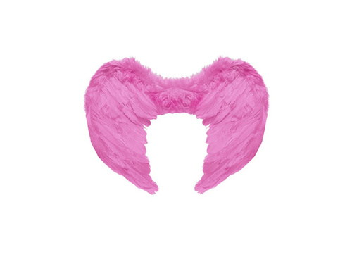 Różowe skrzydła z piór 50×40 cm