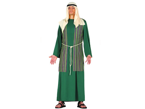 Joseph costume for a man - green