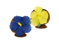 Coconut cup with flower