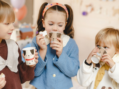 Paper Cups - 220 ml - 6 pcs