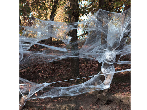 Halloween Spiderweb with spiders - 500 g- 1 pc