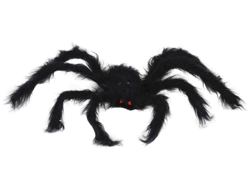 Spider 50 cm