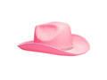 Hat Rodeo pink