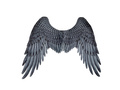 Angel wings grey 65 x 65
