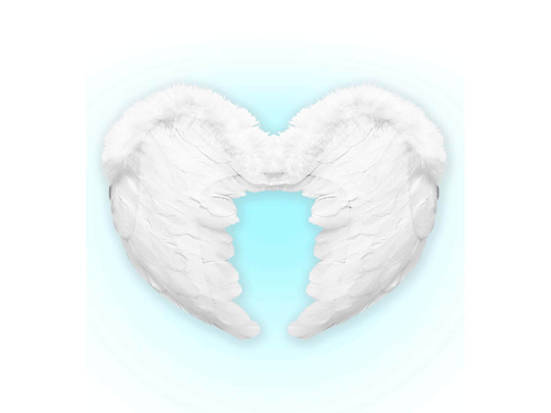 Angel wings white - 37 x 50 cm