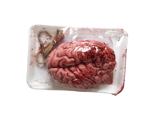 Brain - 1 pc