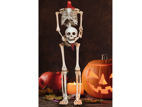 Skeleton 159 cm