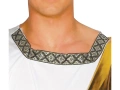 Caesar Costume