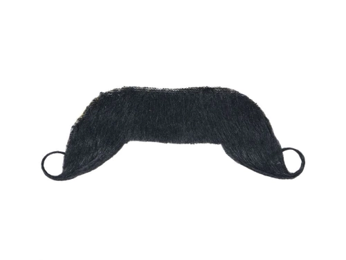 Moustache