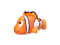 Dmuchana ryba tropikalna Nemo