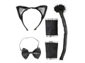 Cat set