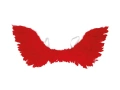 Wings red