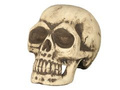 Skull 32 cm - 1 pc