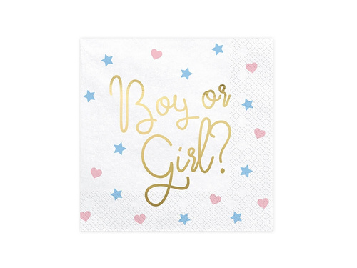 Boy or Girl napkins for Baby Shower - 33 cm - 20 pcs.