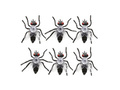6 flies