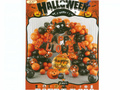 Halloween Balloon Arch Kit