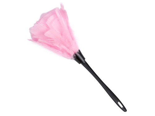 Feather duster
