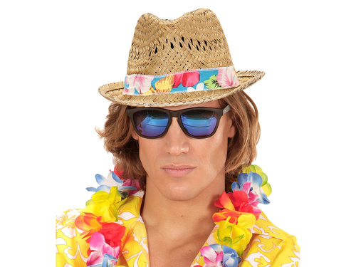 Beach boys straw fedora