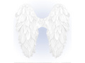 Angel wings white - 65 x 65 cm
