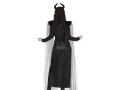 Adult Evil Fairy