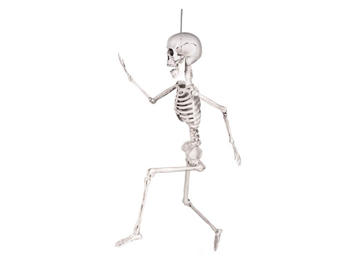 Skeleton Pendant - 60 cm