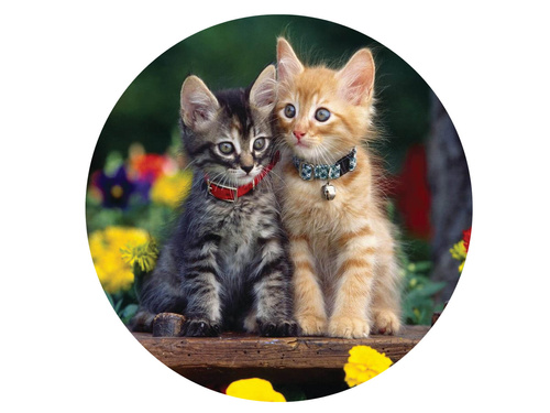 Decorative cake wafer Cats - 20 cm