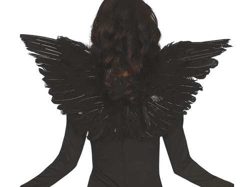 Wings black