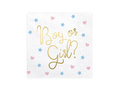 Boy or Girl napkins for Baby Shower - 33 cm - 20 pcs.