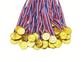 Medal zwycięzcy - 50 szt.