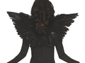 Wings black