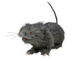 Rat with light 30 cm