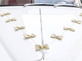 A set of car decorations Bows - 4 elements.