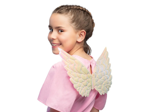 Pearl Angel Wings - 23 x 45 cm