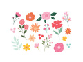 Washable tattoos Flowers - 19 pcs.