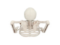 3 skeleton bones with pickets