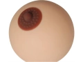 Boobie - 12 pc